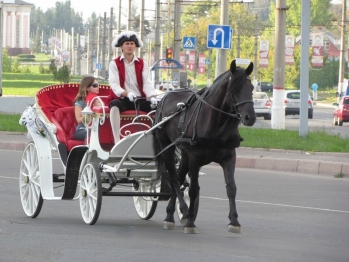 ПДД для гужевого транспорта